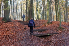 Stufen am Heinrich-Mertens-Weg