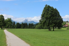 Blick zum Zahmen Kaiser