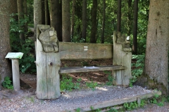 Im Märchenwald Klausenbachklamm