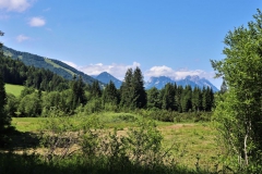 Hochmoor
