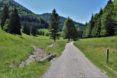Im Klausenbachtal