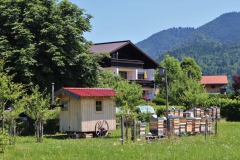 Bienenstöcke Reit im Winkl