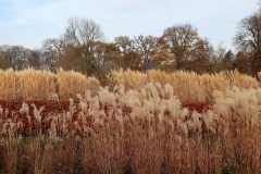 Alter Garten Kloster Kamp