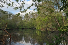 Teich im Kaiserpark Waldniel