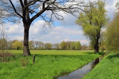 Am Kranenbach bei Schagen