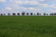 Straße zwischen Waldniel und Amern