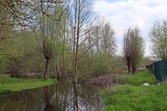 Biberdamm Kranenbach Amern