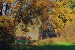 Teich im großen Bend