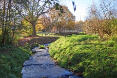 Fischtreppe an der Leuther Mühle
