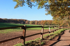 Koppel Nähe Gestüt Seehof