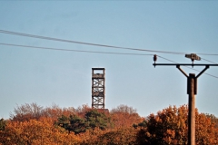 Aussichtsturm auf dem Taubenberg