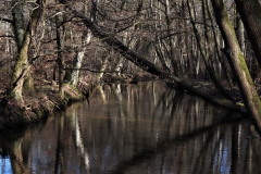 Schwalm unterhalb von Lüttelfors