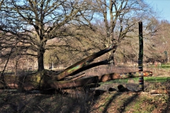 Fabelwesen an der Schwalm bei Lüttelforst