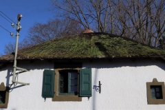 Reetgedecktes Haus in Schwaam