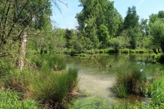 Landschaftspark Museum Insel Hombroich