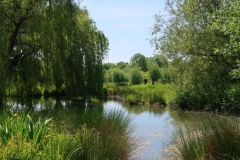 Wasserflächen Museum Insel Hombroich