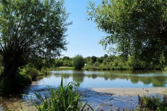 Teich Landschaftspark Hombroich