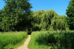 Weg im Landschaftspark Hombroich