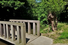 Steg im Landschaftspark Hombroich