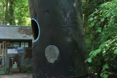 Kunstobjekt Hombroich
