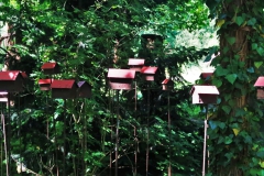 "Vogelhaussiedlung" Landschaftspark Hombroich