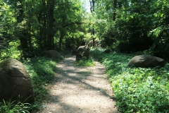 Weg im Landschaftspark Hombroich