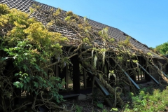 Verwunschenes Gebäude im Park Hombroich