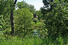 Museum Insel Hombroich