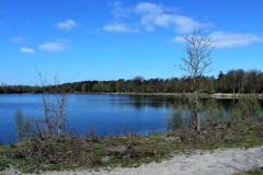 Waldsee an der Grenze D-NL