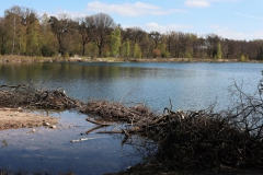 Waldsee an der Grenze D-NL
