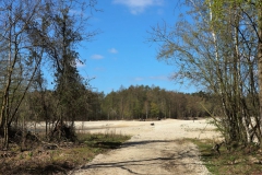 Sand- und Kiesbänke an den Seen
