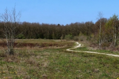 IMG_3245-Kopie-Kopie