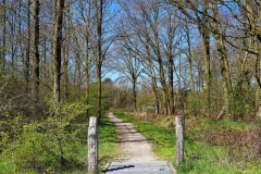 IMG_3247-Kopie-Kopie