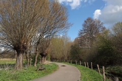 Entlang des Rodebachs