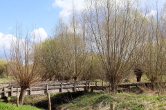 Steg über den Rodebach Nähe Rommlermühle