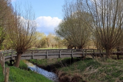 Steg über den Rodebach Nähe Rommlermühle