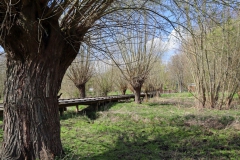 Holzsteg über den Rodebach bei Mindergangelt