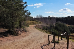 Aussichtspunkt in der Heide