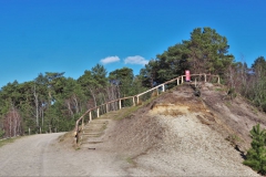 Aussichtspunkt in der Heide