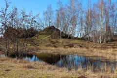 Heidelandschaft mit Tümpel