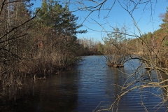 Teewensee
