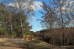 Ruhebank mit Aussicht Teverener Heide