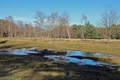 Am Teewensee