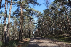 Auf dem Rückweg zum Wanderparkplatz Grotenrath