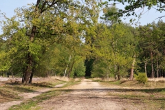Weg im Galgenvenn