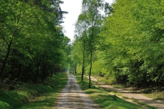 Wanderweg und Reitpfad