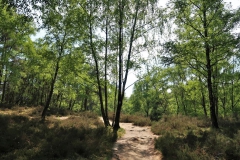 Sandweg