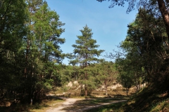 Alte Sandgruben