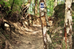 Hohlweg