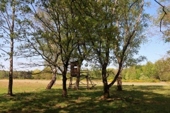 Hochstand am Hühnerkamp